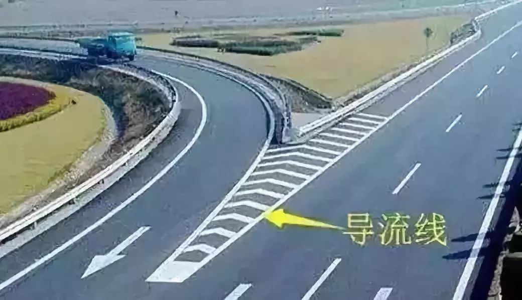 成金青快速路最新動(dòng)態(tài)，日常趣事與情感紐帶揭秘