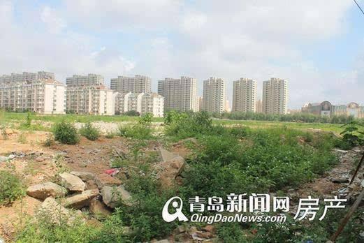 李滄楊哥莊最新動態(tài)，科技引領(lǐng)生活，智能新品體驗未來