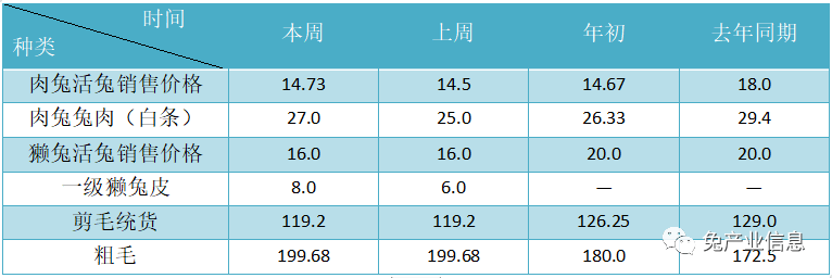 獺兔價(jià)格最新行情揭秘，溫情故事在兔子洞展開(kāi)